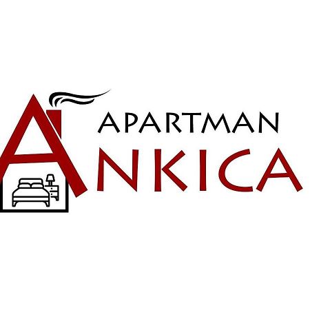 Apartman Ankica Golubac Luaran gambar