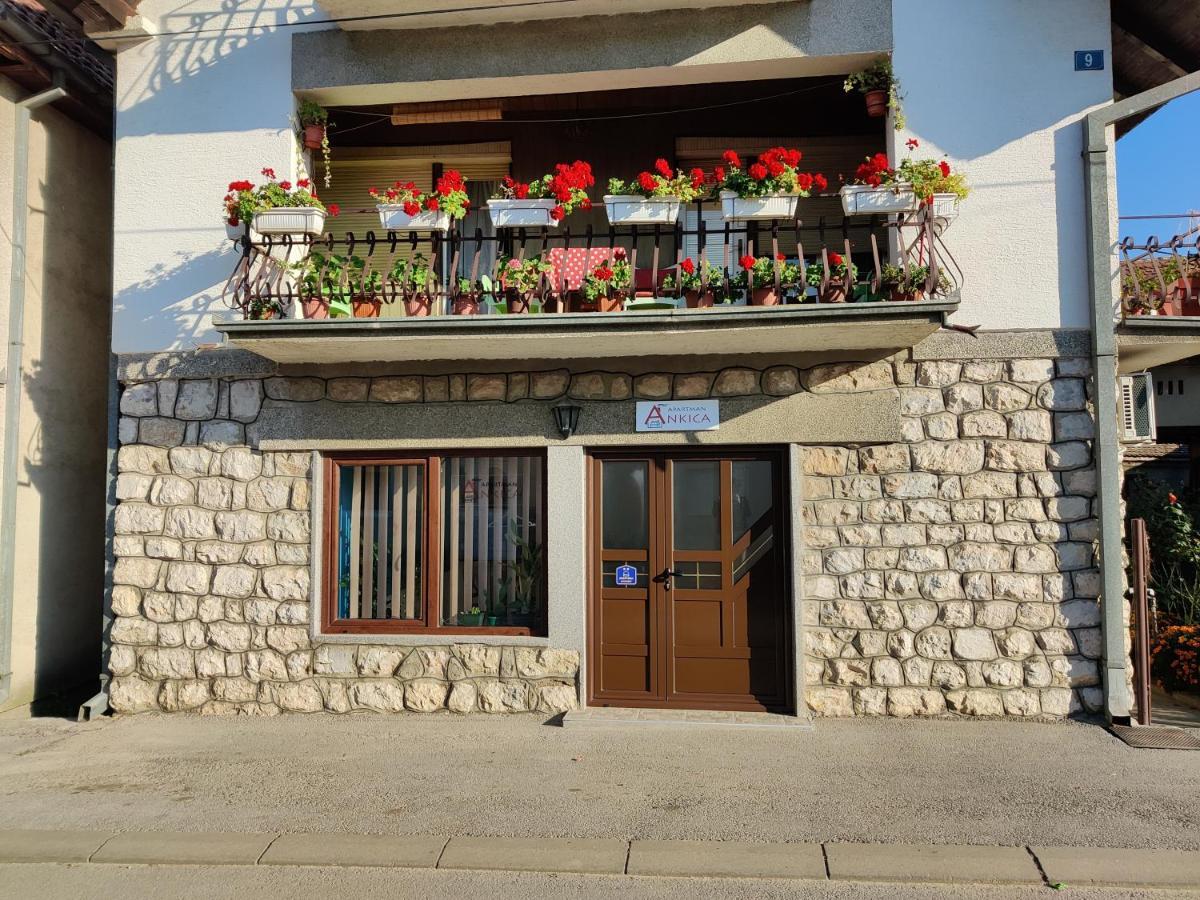 Apartman Ankica Golubac Luaran gambar